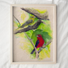 Scarlet Tanagers Birds Watercolor Art Impressão