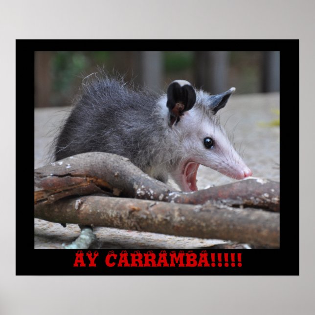 Scary Possum - Poster (Frente)