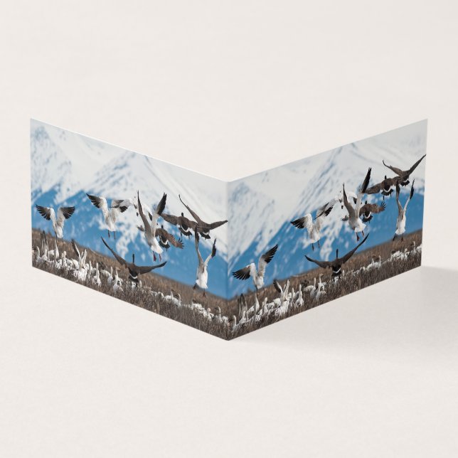 Scattering Geese (Exterior)