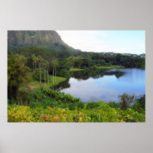 Scenic Hawaiian View Poster