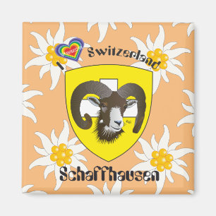 Schaffhausen - Suíça Suisse - Svizzera íman