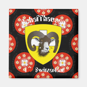 Schaffhausen - Suíça Suisse - Svizzera íman