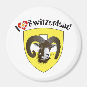 Schaffhausen Suíça Suisse Svizzerland íman