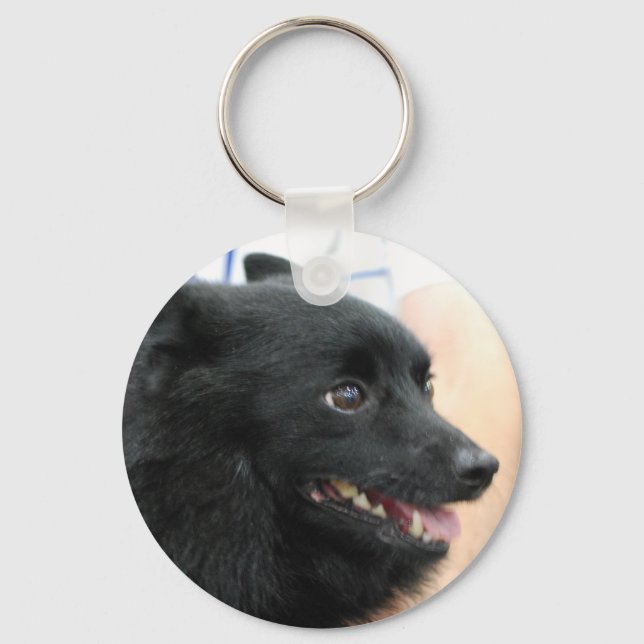 Schipperke Chaveiro (Frente)