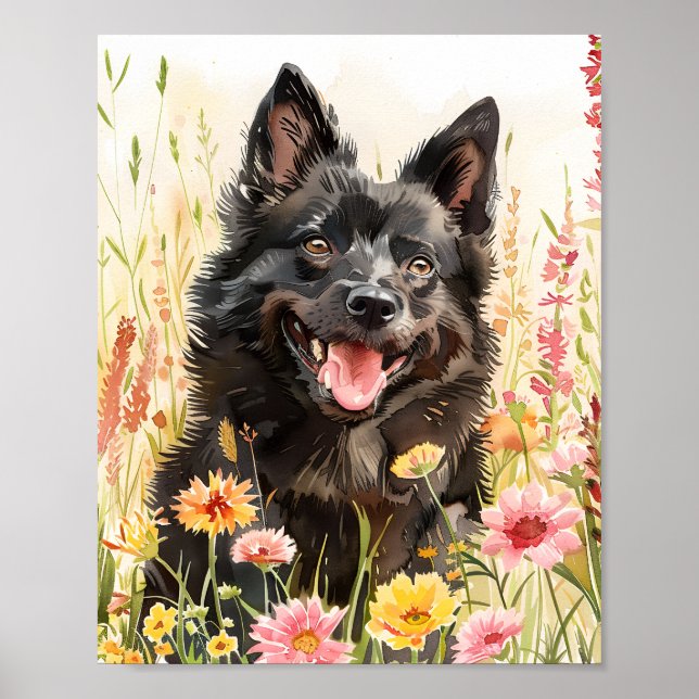 Schipperke Dog Watercolor - Poster (Frente)