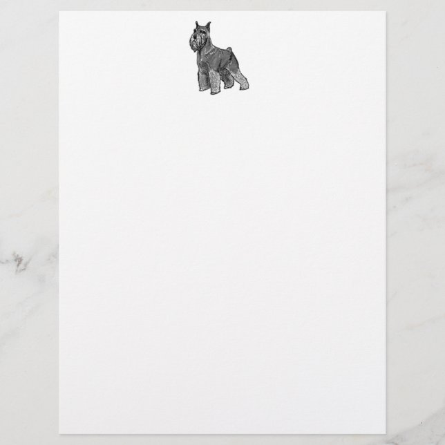 Schnauzer (Frente)