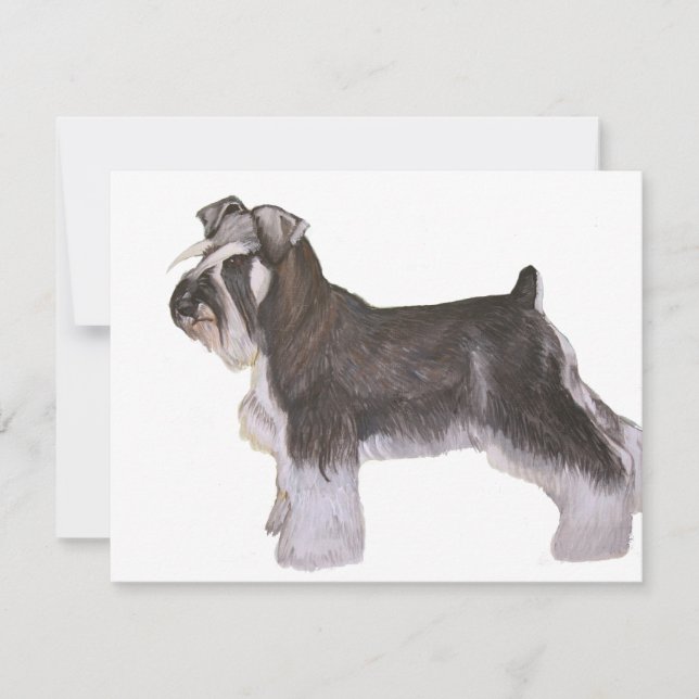 Schnauzer (Frente)