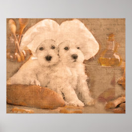 Schnauzer Chefs Impressão