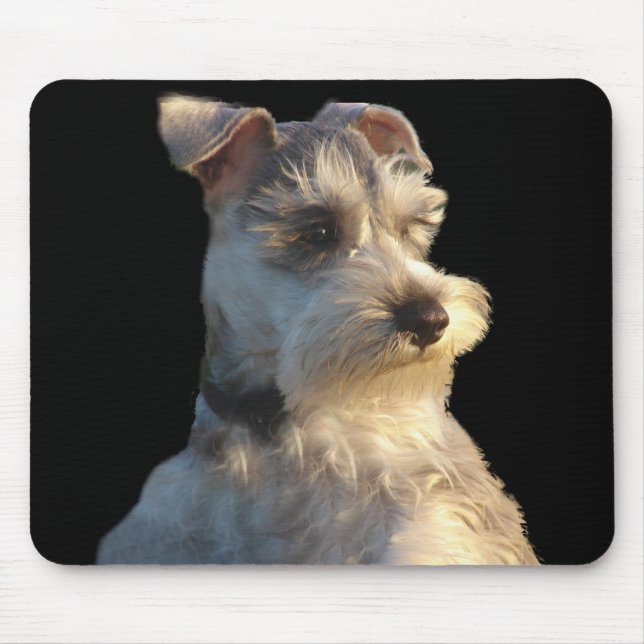 Schnauzer diminuto Mousepad (Frente)