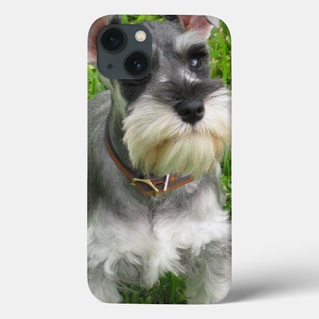 Schnauzer Dog (Verso)