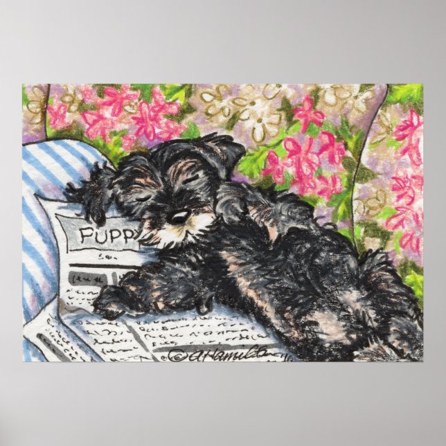 Schnauzer Dreams Impressão (Frente)
