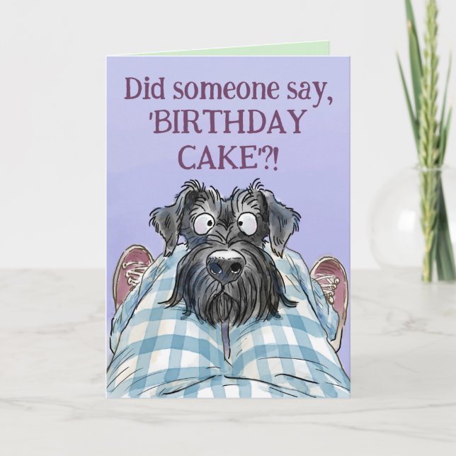 Schnauzer Engraçado Cartão de Cartões de aniversár (Frente)