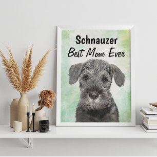 Schnauzer Melhor Mãe Poster