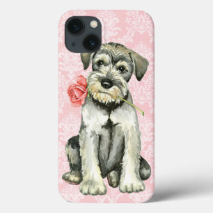 Schnauzer Padrão do Rosa namorados