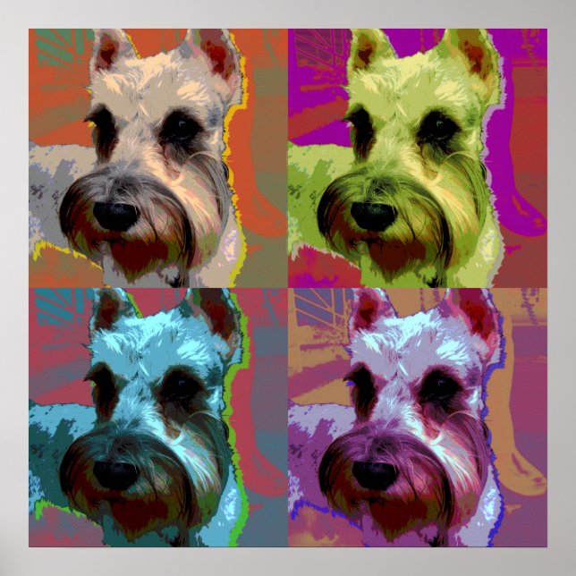 Schnauzer poster (Frente)