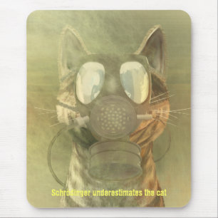 Schrödinger subestima o mousepad do gato