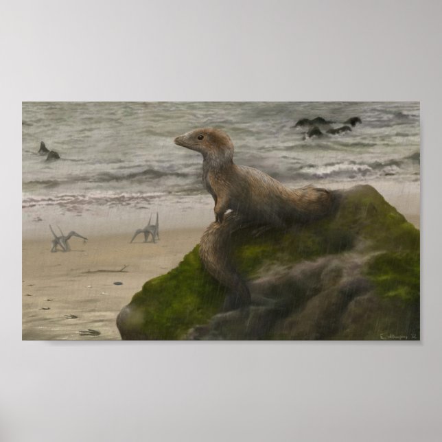 Sciurumimus Impressão (Frente)