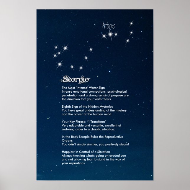 Scorpio Character Poster (Frente)