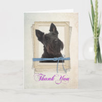 Scottie Cartões de agradecimentos