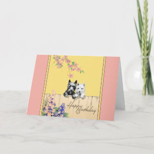 Scottie Dog Cartão de aniversário para uma senho