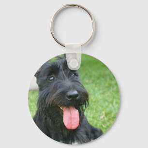 Scottish Terrier Dog Chaveiro