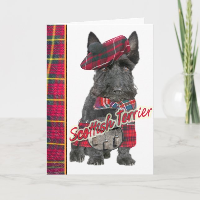Scottish Terrier em cartões do Kilt (Frente)