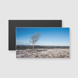 Scout Scar Winter Lake District Inglaterra