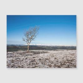 Scout Scar Winter Lake District Inglaterra