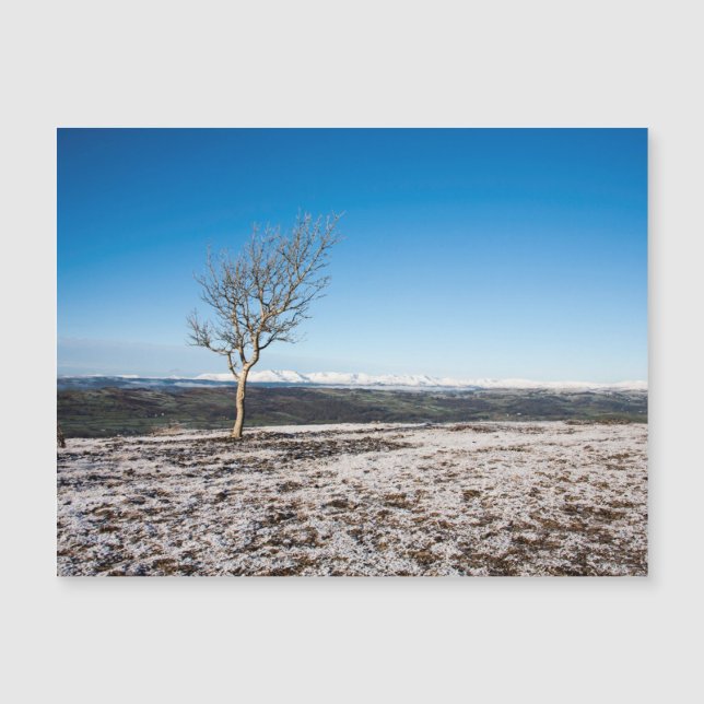 Scout Scar Winter Lake District Inglaterra (Frente)
