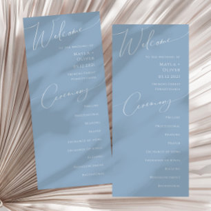 Script Whimsical   Programa Casamento Azul Dusty