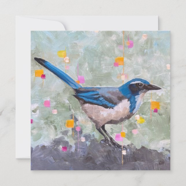 Scrub Jay (Frente)