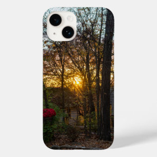 Sdc Woods Sunset capas de iphone