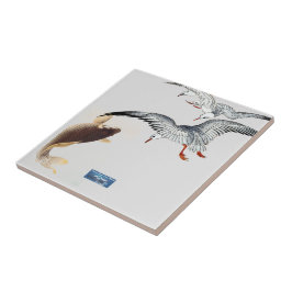 SDCs da Silver azulejo (Sea to Sky) ©️ 2024