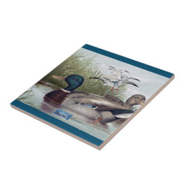 SDCs de azulejo Dark-Teal (Duck Pond) ©️ 2024