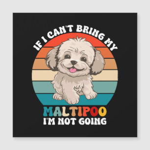 Se eu não puder levar meu cachorro Maltipoo, eu nã