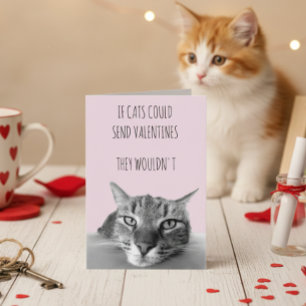 Se os Gatos Pudessem Enviar Cartões de Dia dos Nam