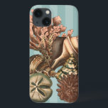 Sea Life Silhouette<br><div class="desc">Esta impressão de arte mostra as coisas mais finas na natureza dentro do oceano. Encontre todos os diferentes tipos de vida marinha nesta imagem, incluindo uma Conch Seashell, Sand Dollares, e Recifes enterrados no fundo do mar. Esta coleção de arte é uma coleção que deve ter nos seus próximos produtos...</div>