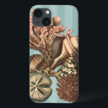 Sea Life Silhouette<br><div class="desc">Esta impressão de arte mostra as coisas mais finas na natureza dentro do oceano. Encontre todos os diferentes tipos de vida marinha nesta imagem, incluindo uma Conch Seashell, Sand Dollares, e Recifes enterrados no fundo do mar. Esta coleção de arte é uma coleção que deve ter nos seus próximos produtos...</div>