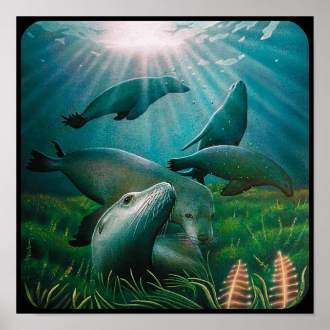 Sea Lions poster (Frente)