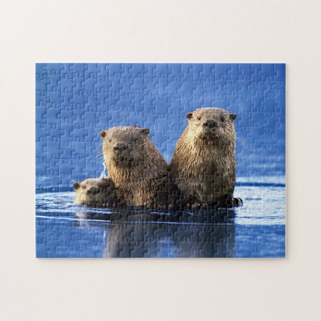 Sea Otter Family, Jigsee Quebra-cabeça (Horizontal)