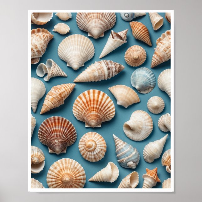 Sea Shell Wall Art Home Decor Room Poster (Frente)