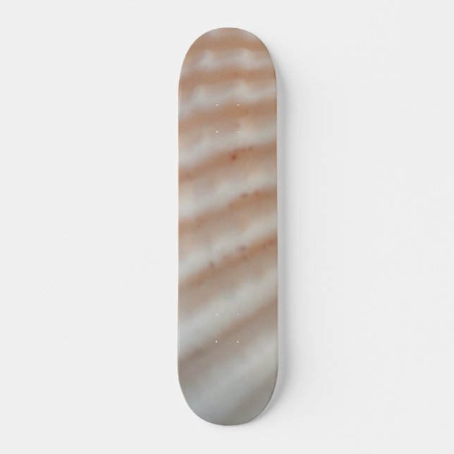 Sea Shells Summer Beach Exotic Tropical Skateboard (Frente)