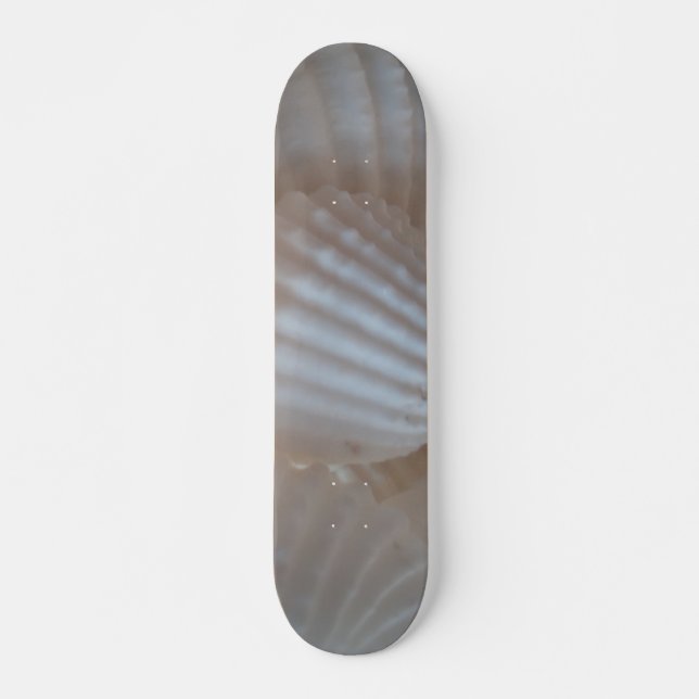Sea Shells Summer Beach Exotic Tropical Skateboard (Frente)