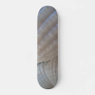 Sea Shells Summer Beach Exotic Tropical Skateboard