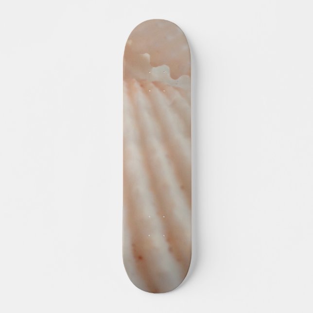 Sea Shells Summer Beach Exotic Tropical Skateboard (Frente)