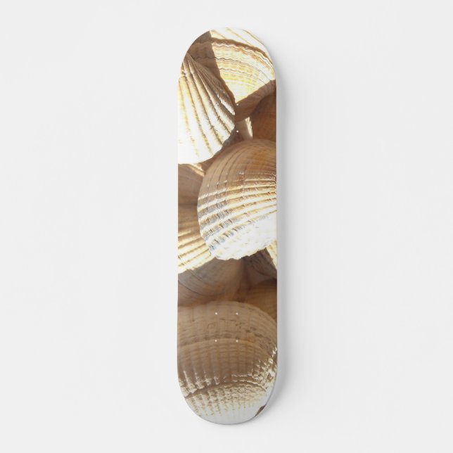 Sea Shells Summer Beach Exotic Tropical Skateboard (Frente)