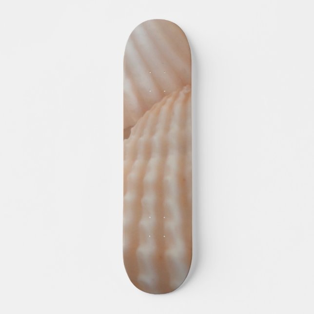 Sea Shells Summer Beach Exotic Tropical Skateboard (Frente)