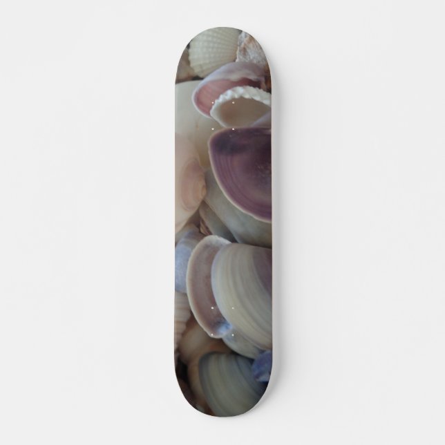 Sea Shells Summer Beach Exotic Tropical Skateboard (Frente)
