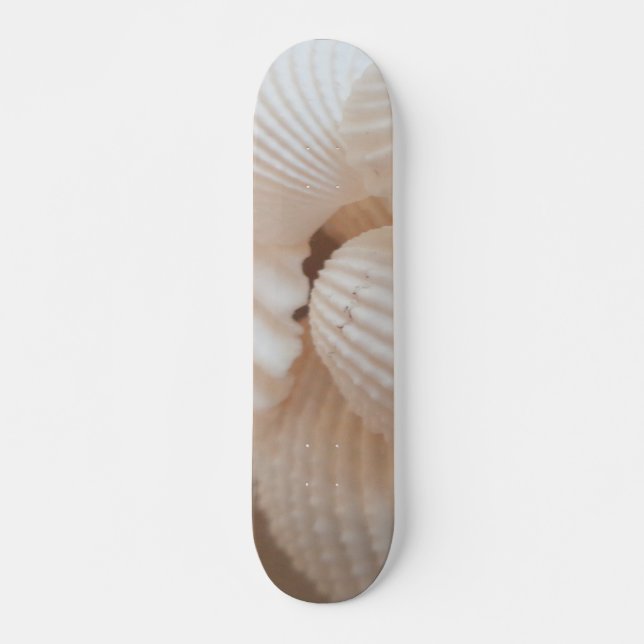 Sea Shells Summer Beach Exotic Tropical Skateboard (Frente)