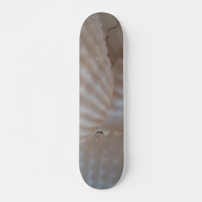 Sea Shells Summer Beach Exotic Tropical Skateboard (Frente)